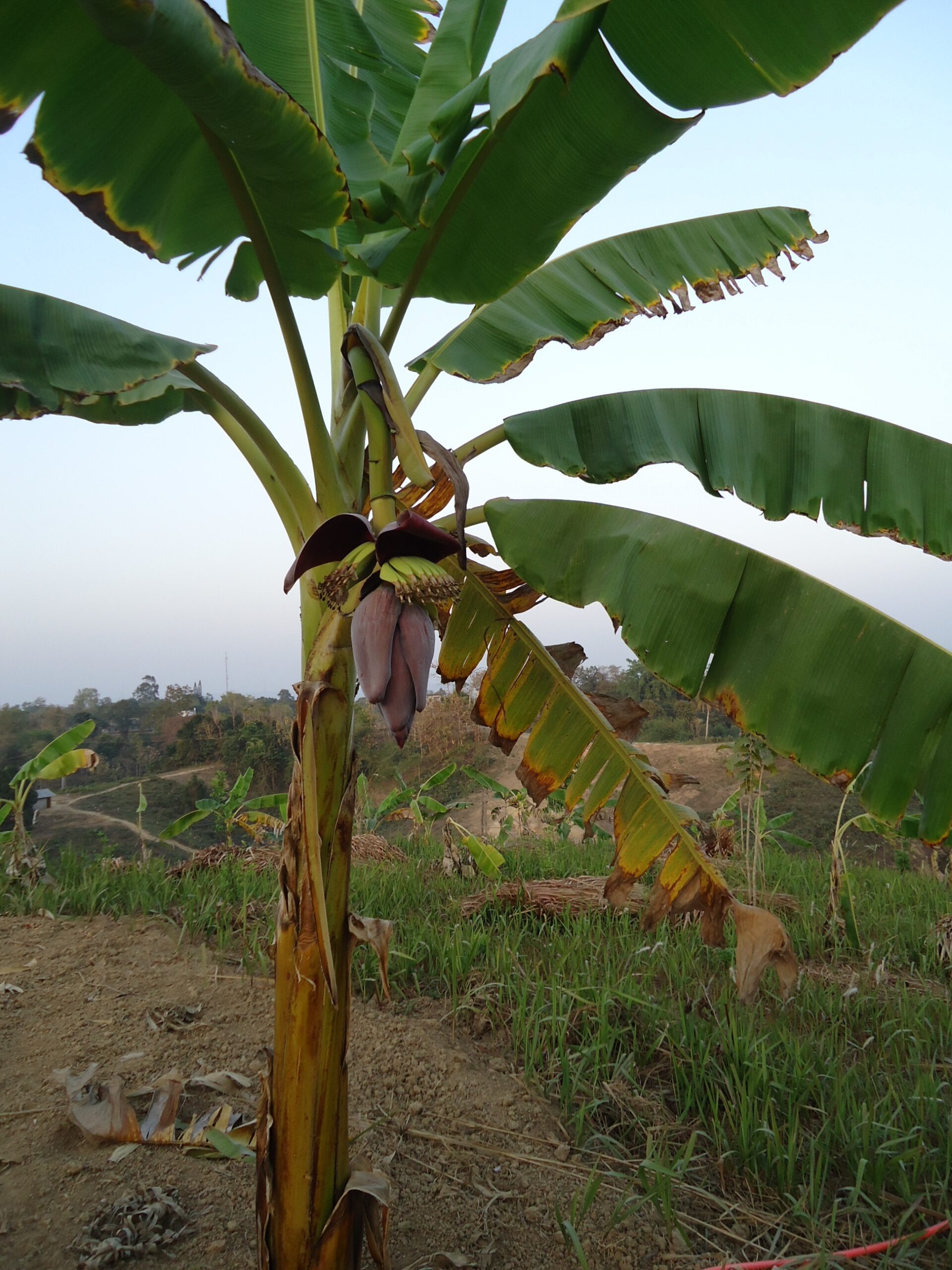 Chittagong Hill Tracts